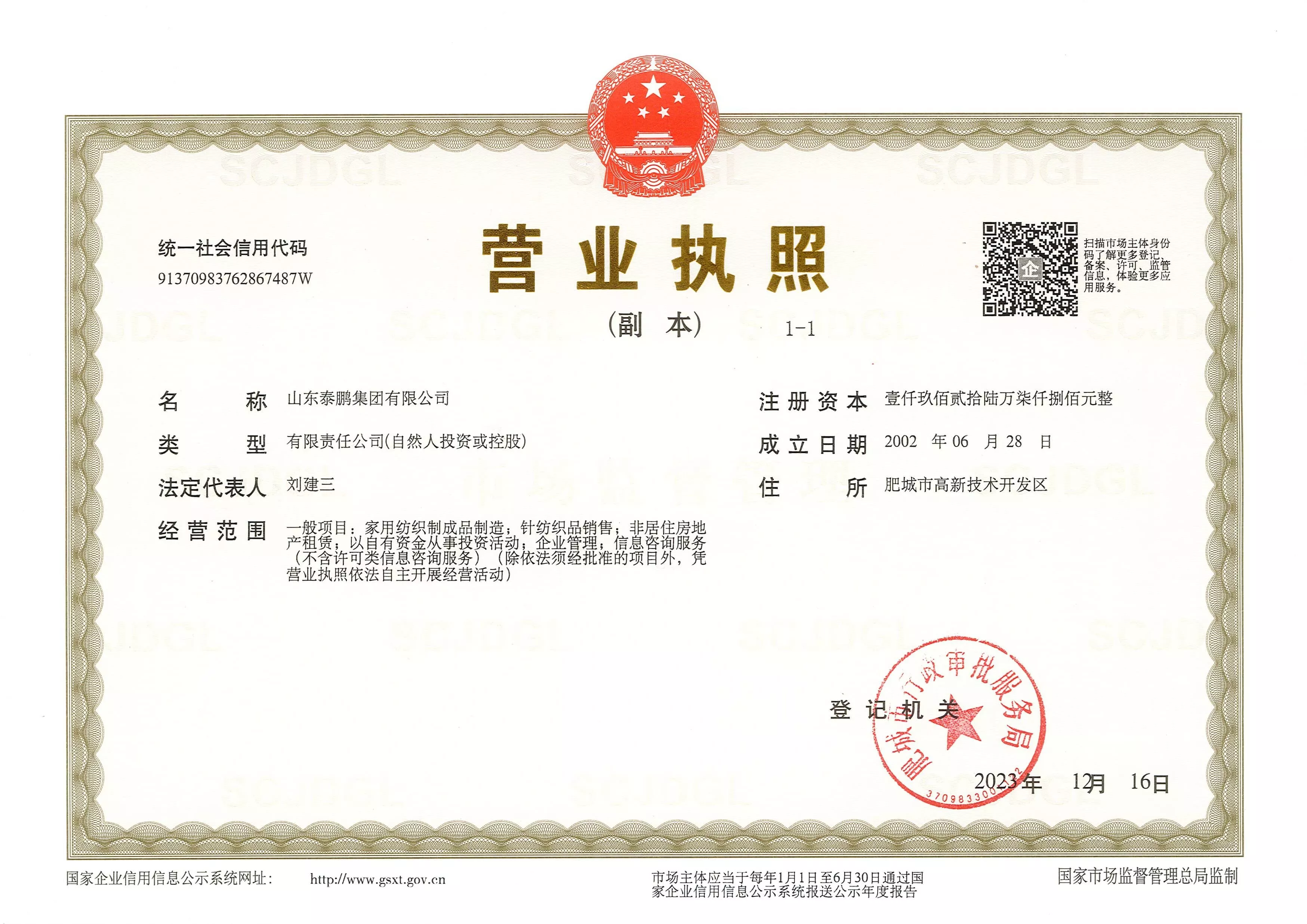 集团营业执照副本